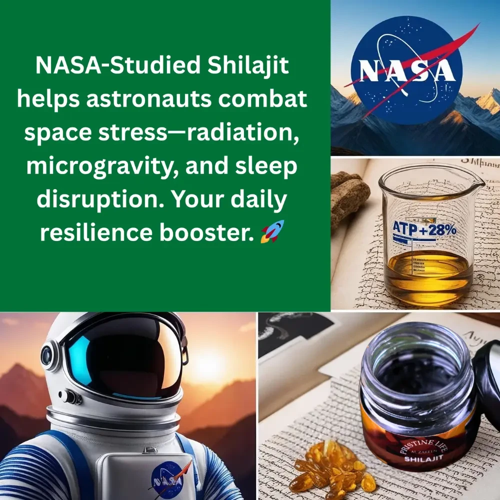 Pure Himalayan Shilajit Resin by Al Zareen –20 gm  Resin by Al Zareen – NASA-Studied