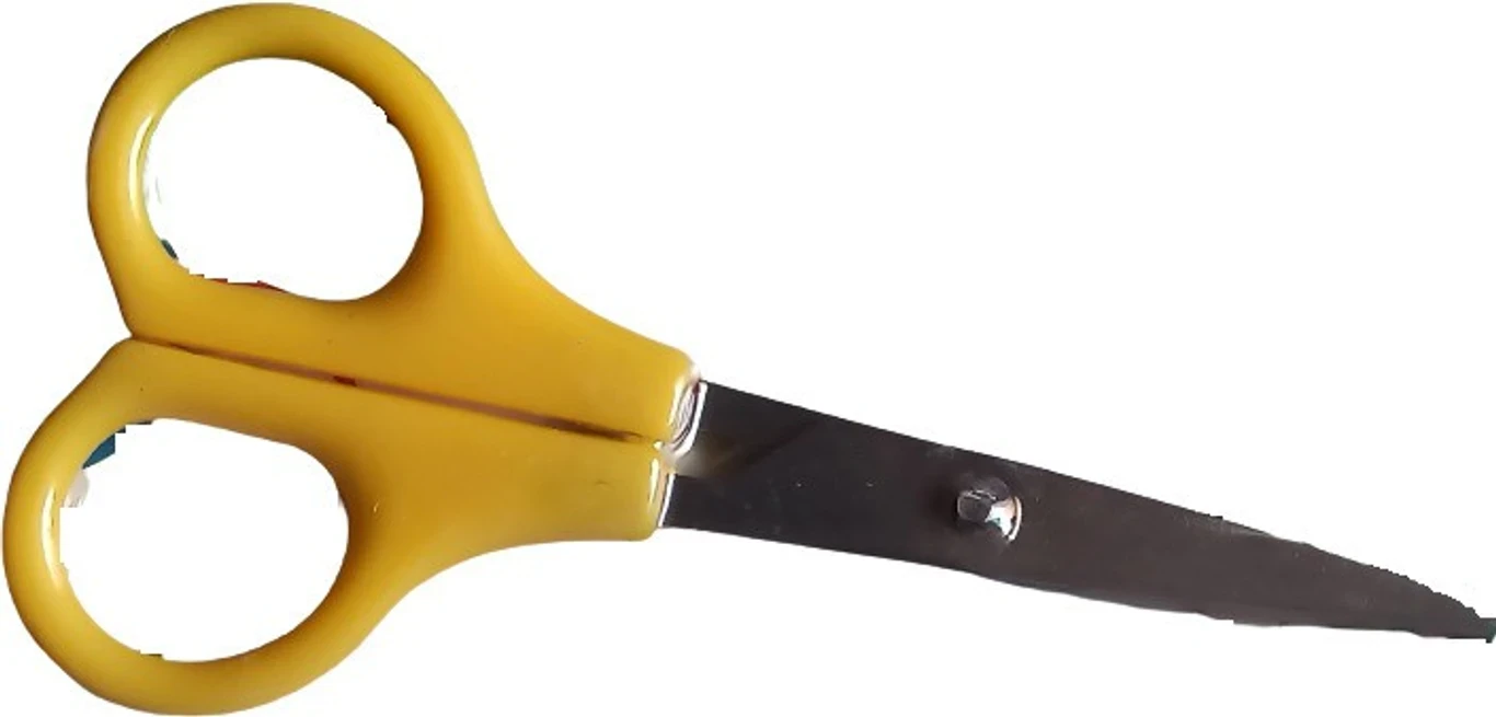 NEWGEN ENTERPRISES Small Stainless Steel Scissors (Set of 1, Multicolor)