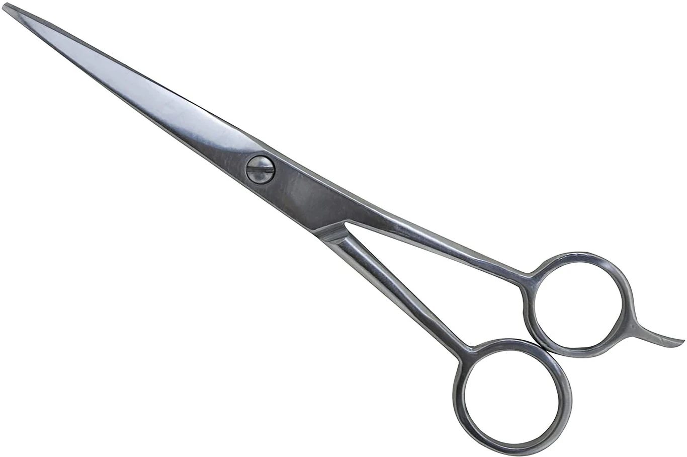 Aadhan Stainless Steel Scissors for Moustache Trimming (Set of 1, Steel)