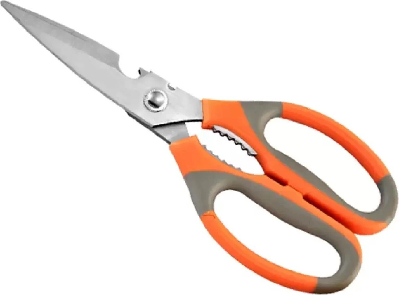 DEZIINE Stainless Steel All-Purpose Scissor (Set of 1, Multicolor)