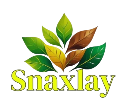 Snaxlay