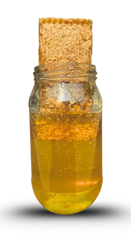 BEEMAN ORGANICA Raw Honeycomb Honey- 500 Grams- Organic Natural & Raw | No chance of adulteration| Premium Dessert & Superfood for Immunity & Wellness