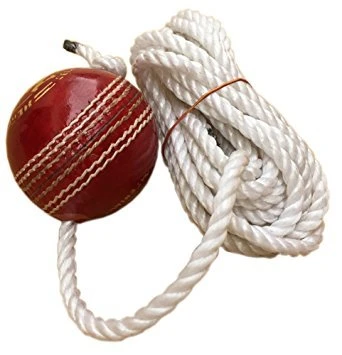 Leather Cricket Shot Practice Hanging Ball, String Cricket Ball and Knocking Cricket Ball with Rope (Multi-Color) (Pack of 1)