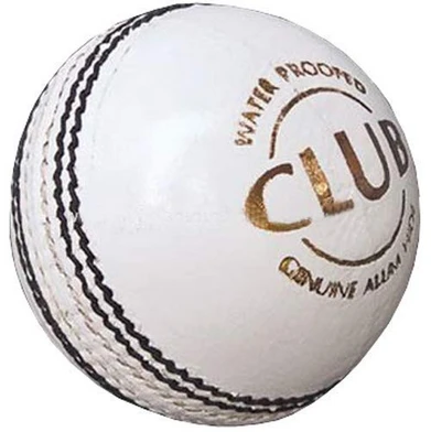 Leather Cricket Ball | Hand Stitched Leather Ball for Practice, Match, and Training | Durable, Water Resistant, Professional Cricket Ball for Club and Academy Use (Pack of 1, White)