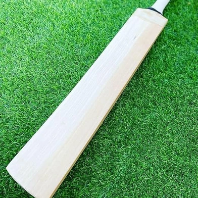 Kashmir Willow Cricket bat Full Size