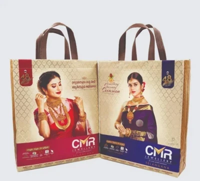 15inch Printed Non Woven Shopping Box Bag Pack of 10
